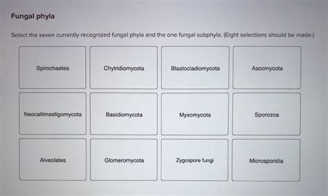 Solved Fungal phyla Select the seven currently recognized | Chegg.com