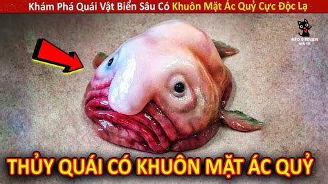 Khám Phá Quái Vật Biển Sâu Có Khuôn Mặt Ác Quỷ Cực Độc Lạ Review