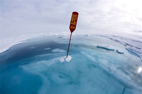 Science Photographer Of The Year Winners Revealed Bbc News