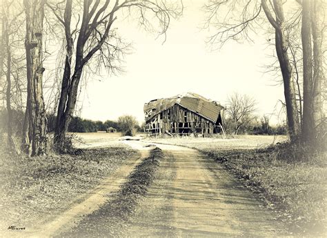 Wallpaper Tree Woody Plant Path Black And White Winter History