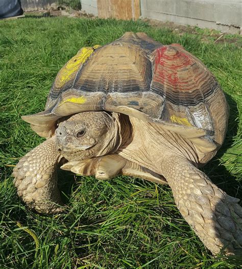 Reptile Zoo Boise Idaho at Louise Rizo blog