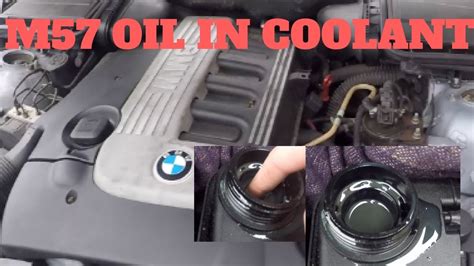 BMW E39 530D E46 330D M57 Oil In Coolant Fix YouTube