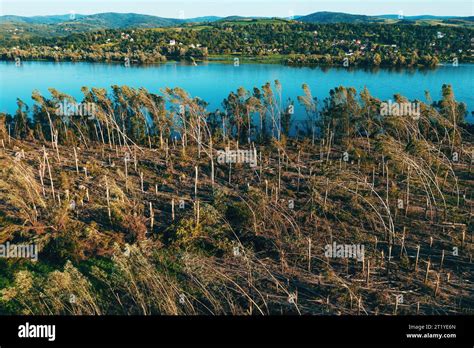 Aerial Shot Of Devastated Forest Landscape After Supercell Storm In Summer Drone Pov Shot Of