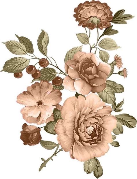 Pin By Modorova Svetlana On Flower Illustration Beautiful