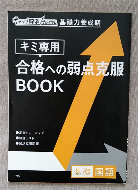 進研ゼミ高校講座 国語 合格への100題 2021年4〜9月号 基礎 ベネッセ 国語 ｜売買されたオークション情報、yahooの商品情報をアーカイブ公開 オークファン（）