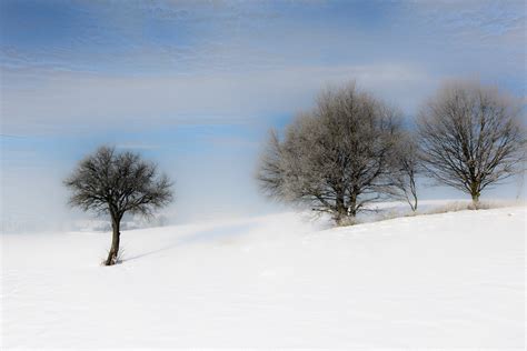 Wallpaper : landscape, white, snow, blue, frost, Freezing, tree ...