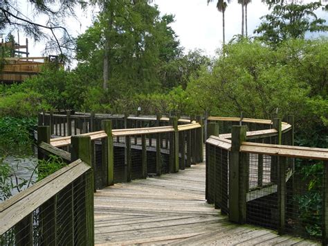 Breeding Marsh Walkway at Gatorland - ZooChat