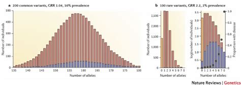 Rare And Common Variants Twenty Arguments Nature Reviews Genetics