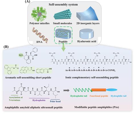 Self‐assembling Peptide‐based Hydrogels For Wound Tissue Repair Guan