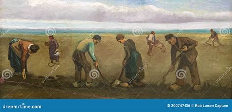 Peasants Planting Potatoes Painting By Vincent Van Gogh Editorial