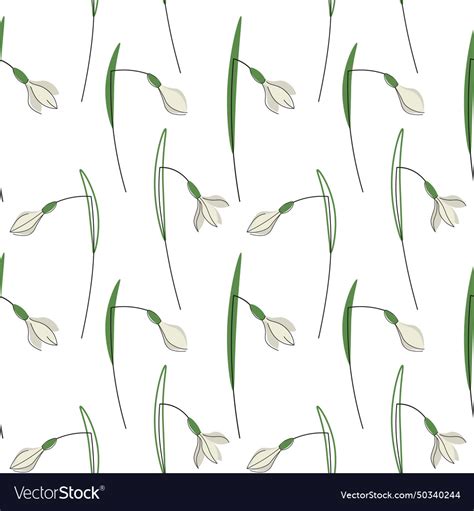 Snowdrops Flowers Spring Seamless Pattern Vector Image