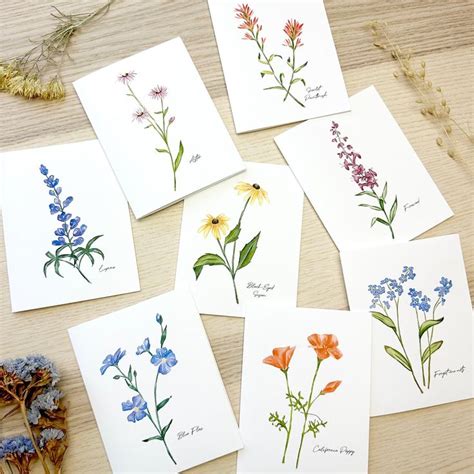 Notecard Set Wildflower Card Set Floral Stationary Watercolor