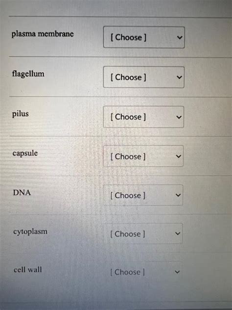 Examine The Following Figure Match Each Letter Of Chegg