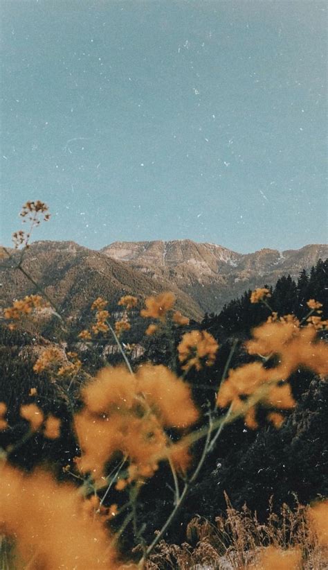 🔥 [20+] Vintage Aesthetic Landscape Wallpapers | WallpaperSafari