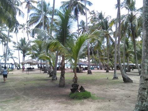 Playa Medina Una De Las Bellezas De La Peninsula De Paria