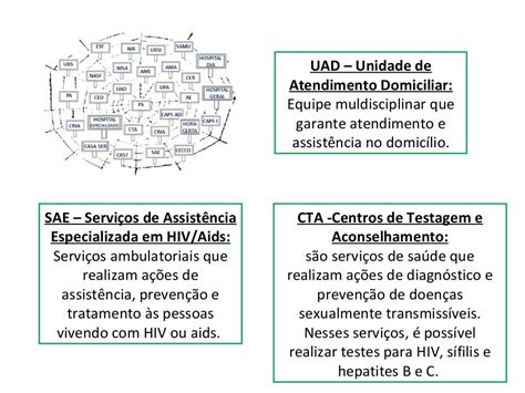 Estrutura Organizacional Dos Serviços De Saúde Redes De Atenção à S…