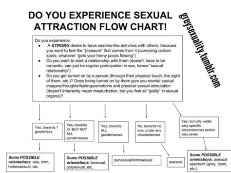 Sexual Attraction Flowchart By Kinkflagsrus On Deviantart