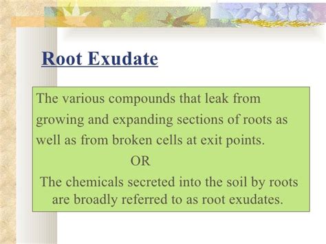 Root Exudtes