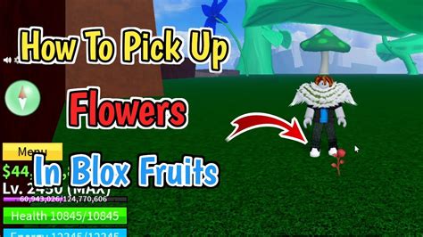 How To Pick Up Flowers In Blox Fruits How To Collect Fruits In