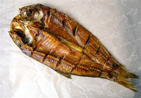Рыба из Астрахани купить с доставкой напрямую от производителя