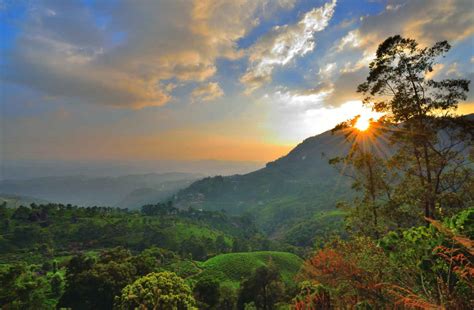 Forest Trekking In Kerala