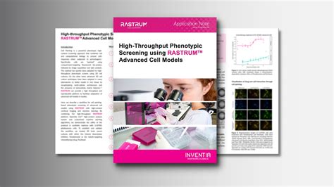 High Throughput Phenotypic Screening In 3d Cell Models