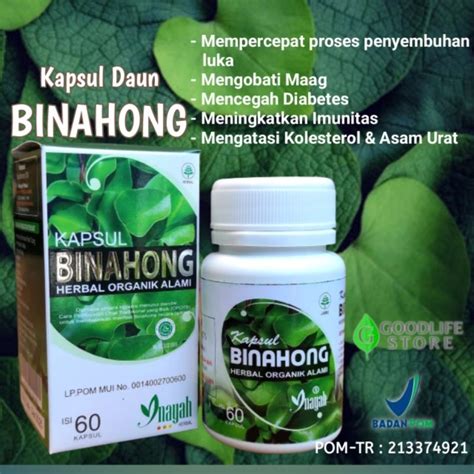 Jual Kapsul Daun Binahong Inayah Herbal Bpom Isi Lpom Mui Shopee