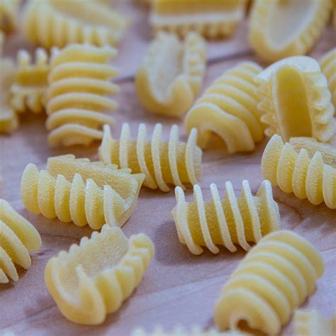 Radiatori Pasta by Etto Pastificio – Etto Pasta