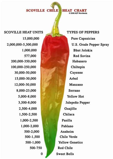 5 Surprising Health Benefits Of Eating Hot Peppers Biotrust