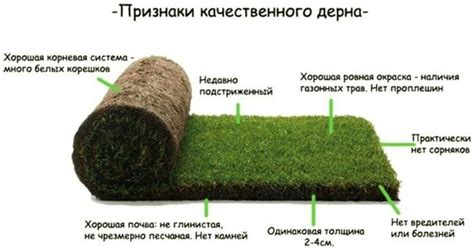 Pin by Даша on ландшафтная архитектура (дизайн) | Outdoor decor ...