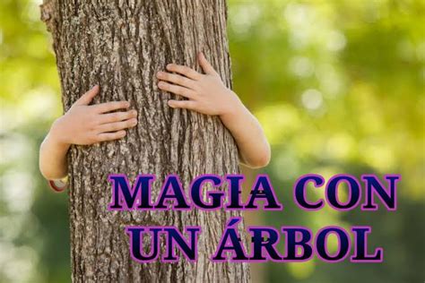 Magia Blanca Y Brujeria Mexicana Magia Con Un Arbol