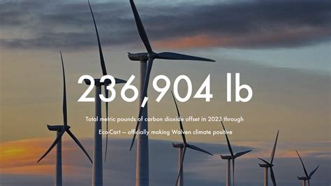 2024 Impact Report – Wolven