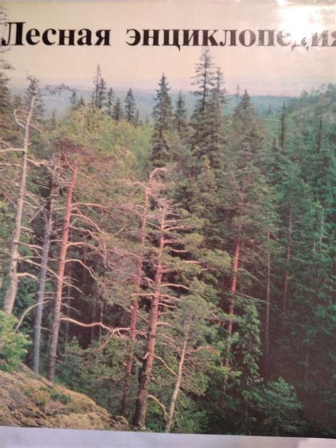 Лесная энциклопедия в 2-х томах. 1985 год.: 430 грн. - Книги / журнали ...