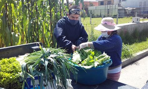 Octubre será el Mes de la Agricultura Familiar Campesina Ministerio