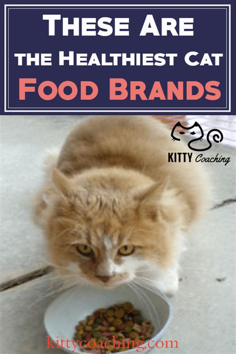 Want To Know What Weve Learned From Years Of Researching Cat Food