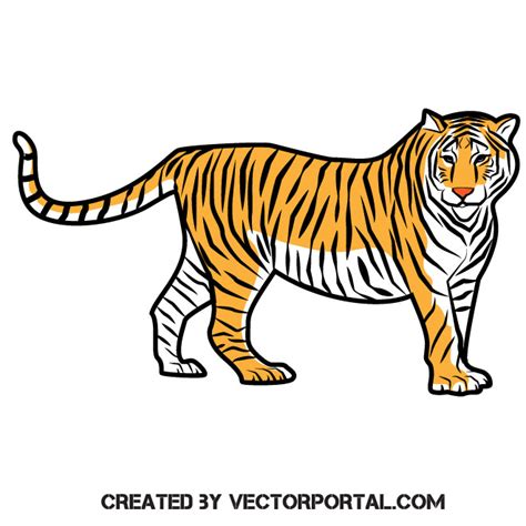 Tiger wild cat Royalty Free Stock SVG Vector and Clip Art