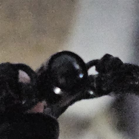 Soufeel Reviews - 903 Reviews of Soufeel.com | Sitejabber