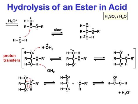 PPT - HYDROLYSIS REACTIONS PowerPoint Presentation, free download - ID:378930