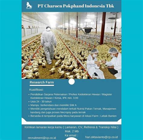 Lowongan Kerja Research Farm PT Charoen Pokphand Indonesia Tbk