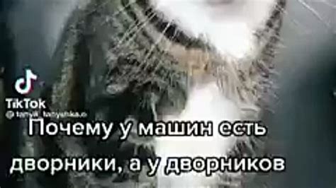 Почему у машин есть дворники , а у дворников нет машин .mp4