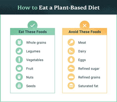 Physical Therapy and Nutrition: 4 Benefits of a Plant-Based Diet | USAHS