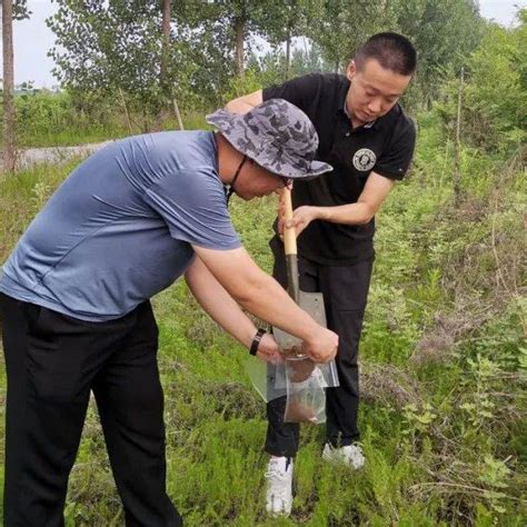 省厅新闻 河北省国土整治中心开展“滨海湿地生态廊道‘植被 土壤 水体耦合生态修复技术”实地调研生态湿地耦合