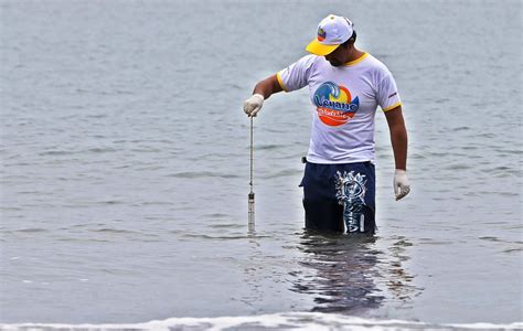 Moquegua Declara Saludables A Siete Playas Ubicadas En Provincia De Ilo