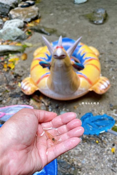 花蓮｜撒固兒步道：超親民步道平穩好走，10分鐘抵達秘境瀑布玩水！ 輕旅行