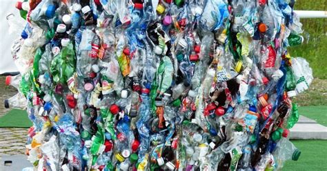 Bottiglie Di Plastica Addio Confezioni Bio Dal Mais All Alga Rossa