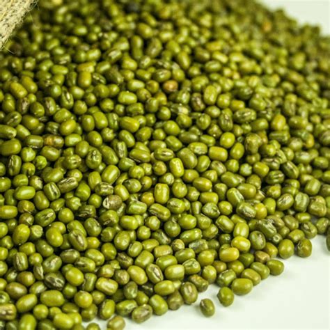 Green Gram - Spice Munnar - Online Spice seller from Munnar