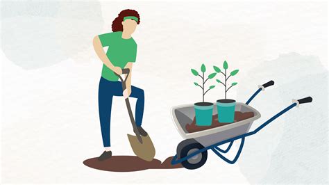 Climate and Ecological Emergency - Dorset Council