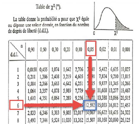 Les Statistiques De Base