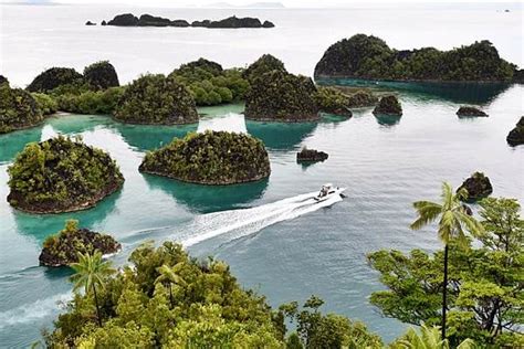 Nikmati Spot Menyelam Terbaik Di Raja Ampat