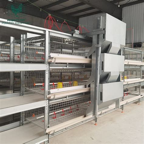 Philippines 3 Tiers Automated Poultry Broiler Battery Chicken Cage